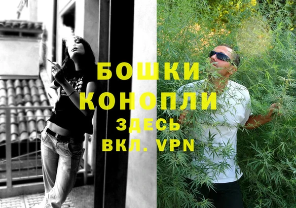 марки lsd Белокуриха