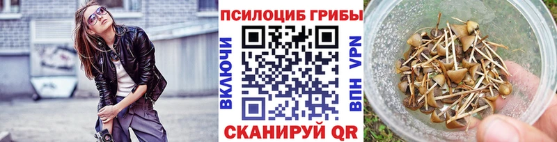 Псилоцибиновые грибы мухоморы  Купить закладки  Махачкала 